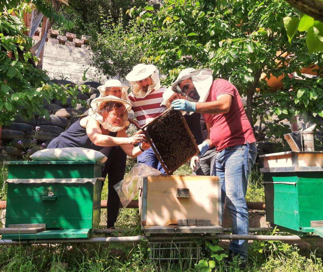 Willa Armbee Honey Farm Alawerdi Zewnętrze zdjęcie